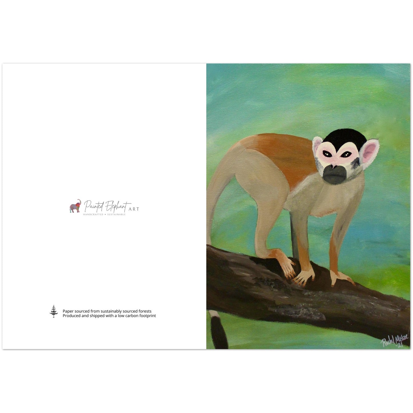 Pack of 10 Blank Squirrel Monkey Print Greeting Cards with Envelopes