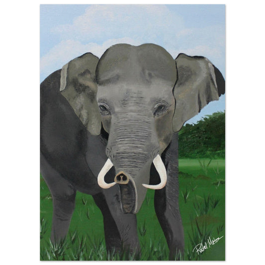 African Elephant Wall Art Print on Premium Matte Paper Poster - Multiple Sizes