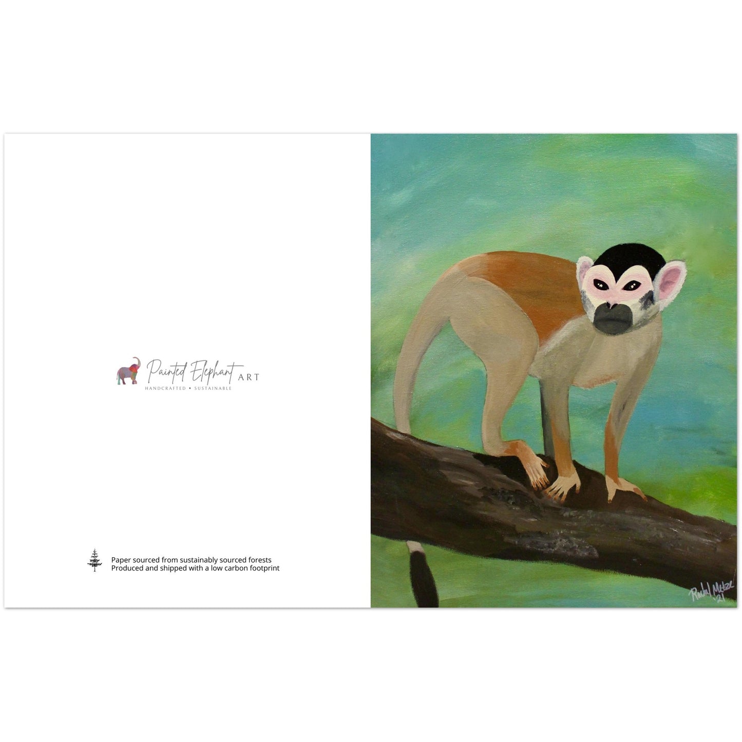 Pack of 10 Blank Squirrel Monkey Print Greeting Cards with Envelopes