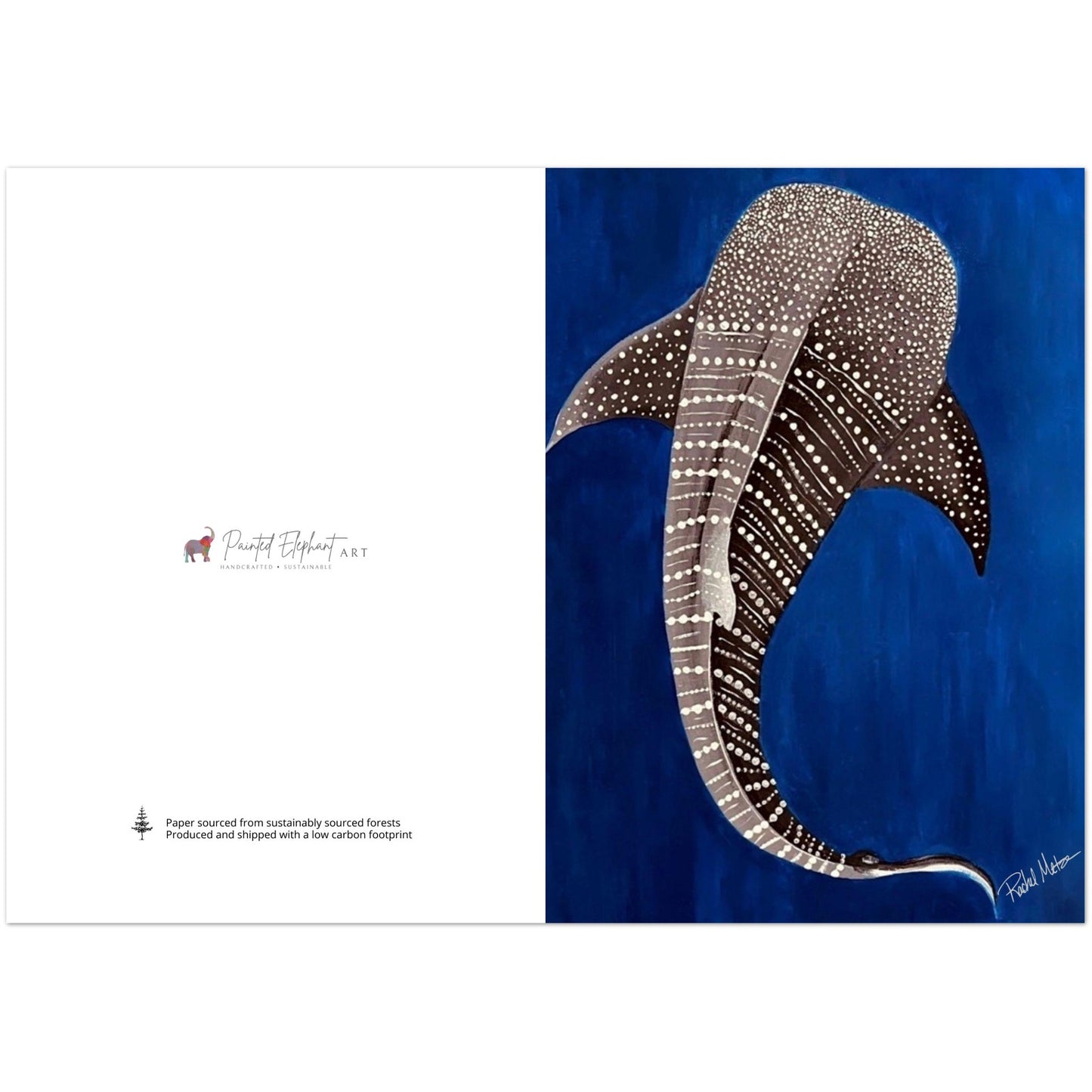 Pack of 10 Blank Whale Shark Print Greeting Cards with Envelopes