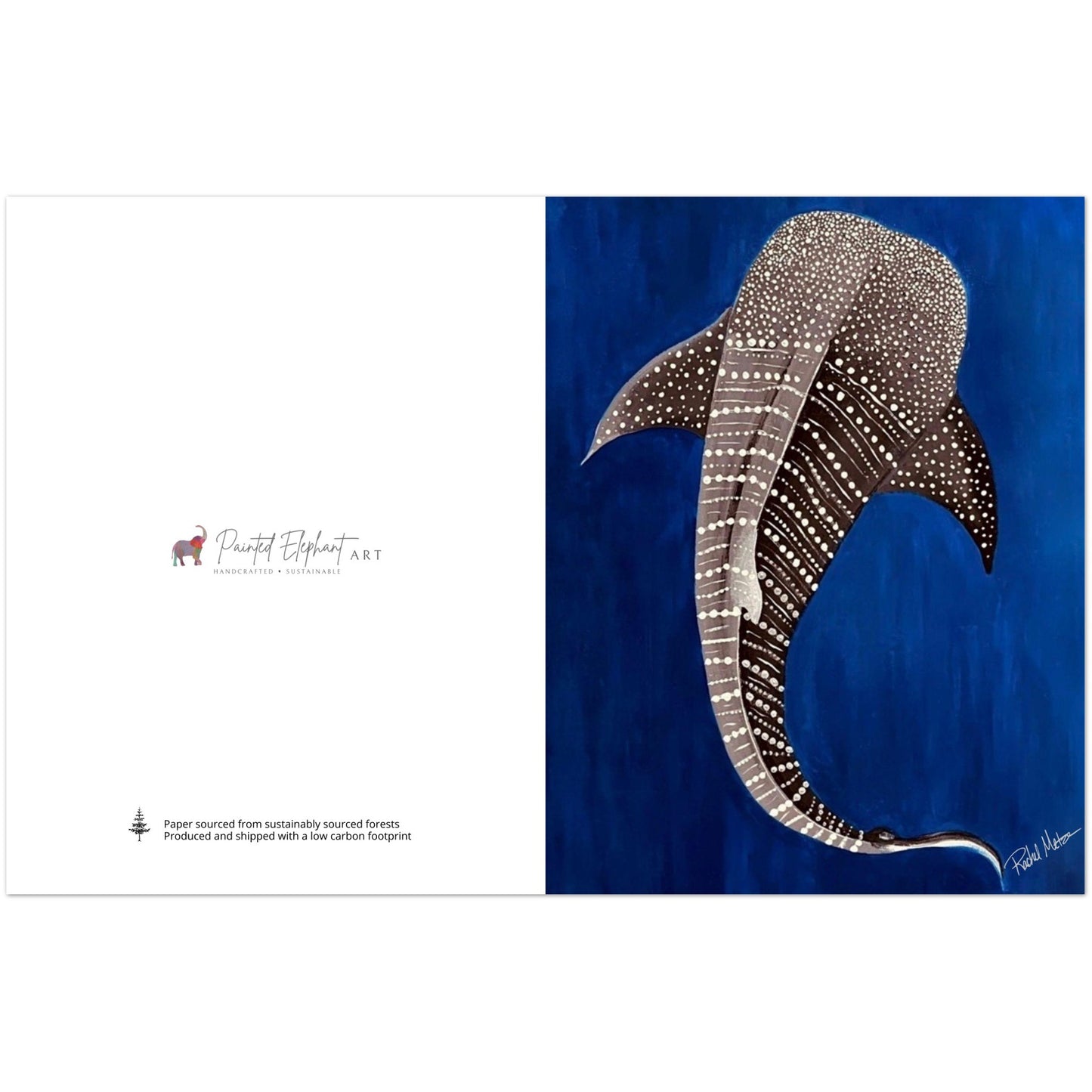 Pack of 10 Blank Whale Shark Print Greeting Cards with Envelopes